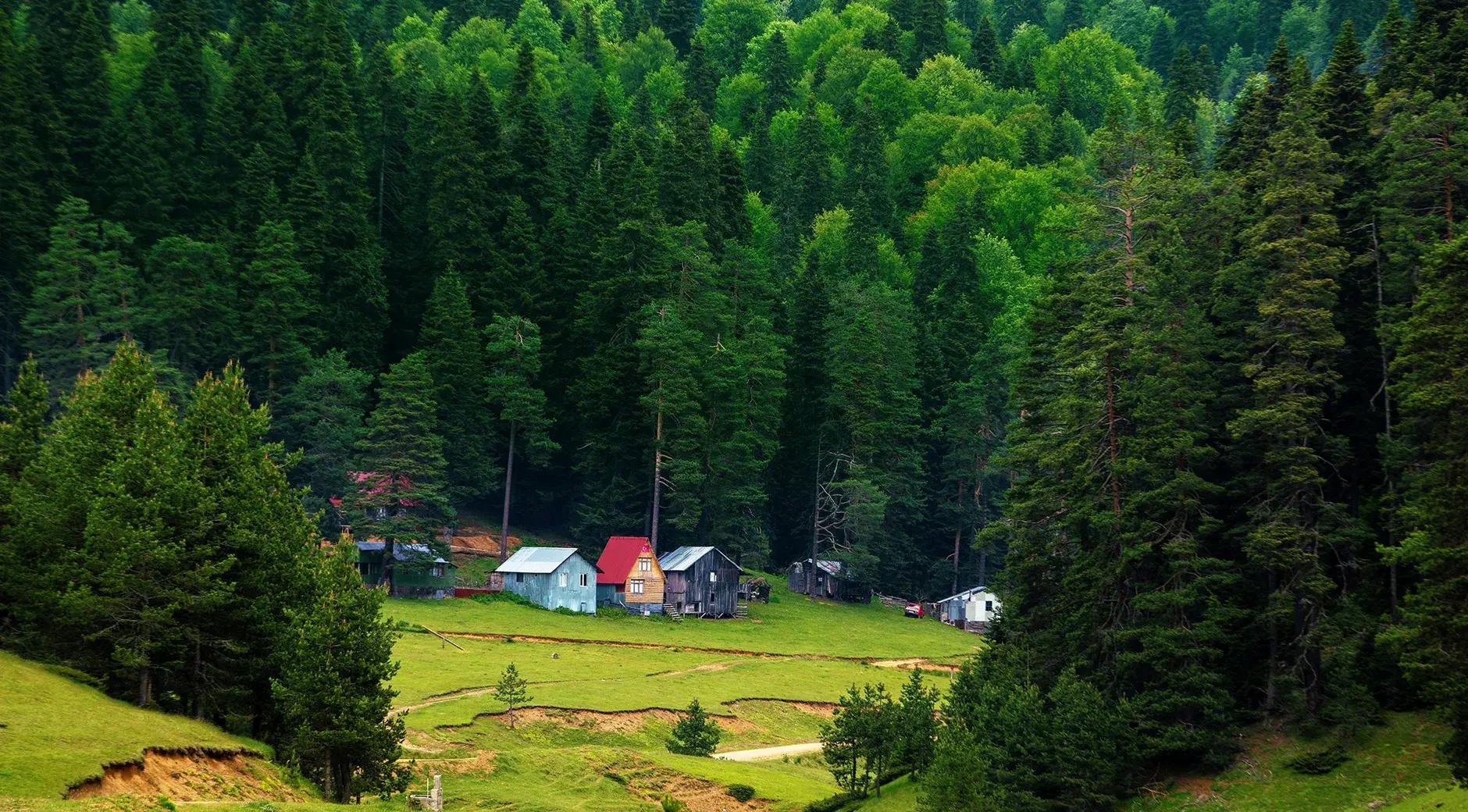 Balıklı Highland's image