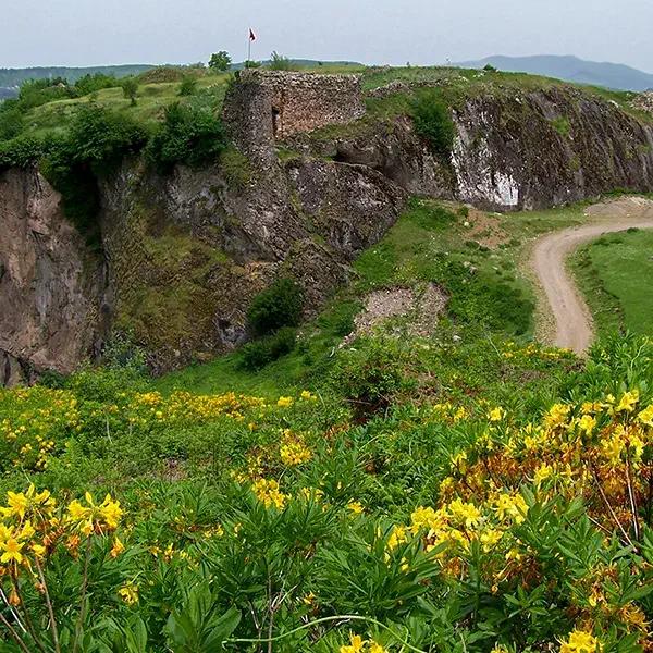 Gölköy Castle