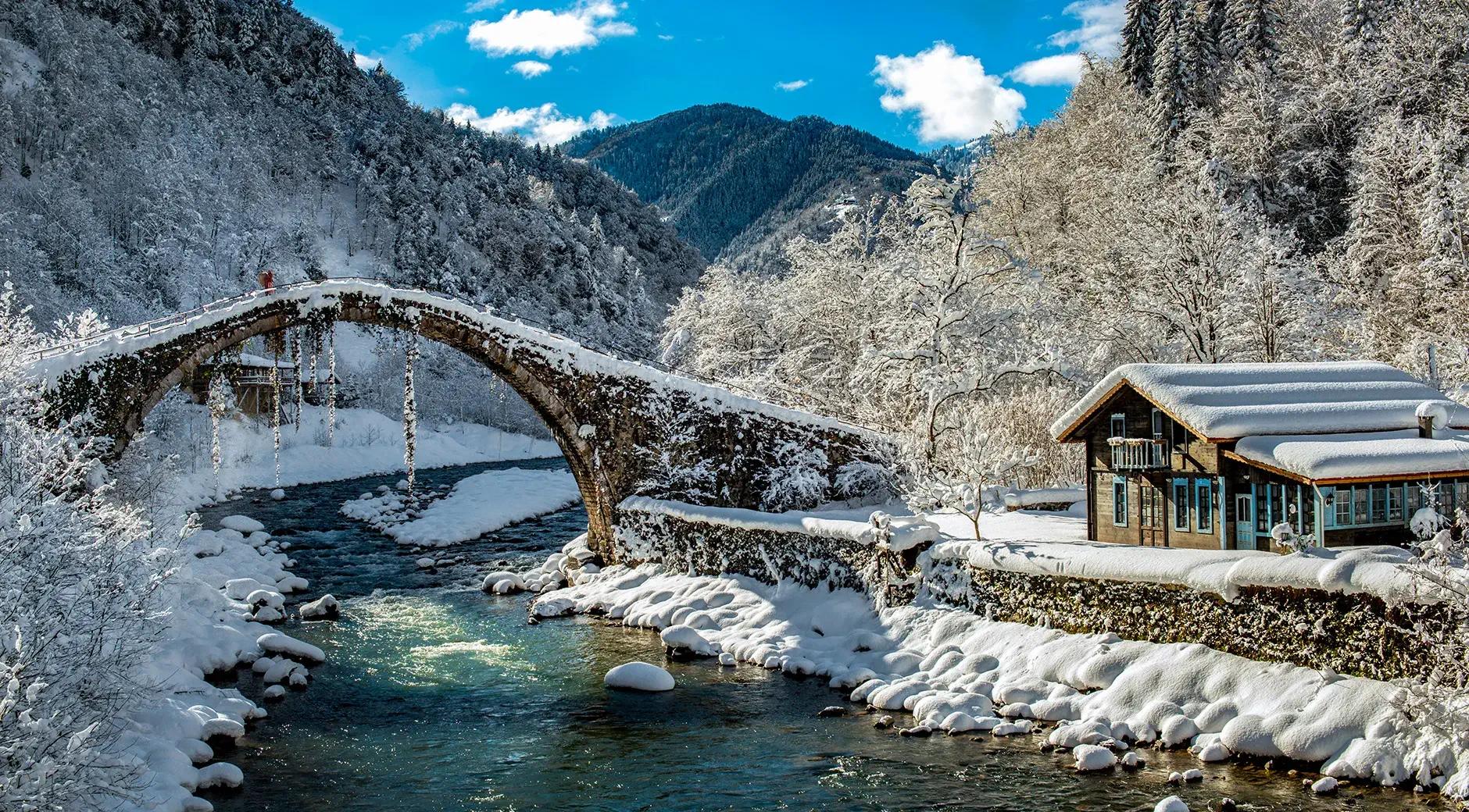 Şenyuva Bridge 's image