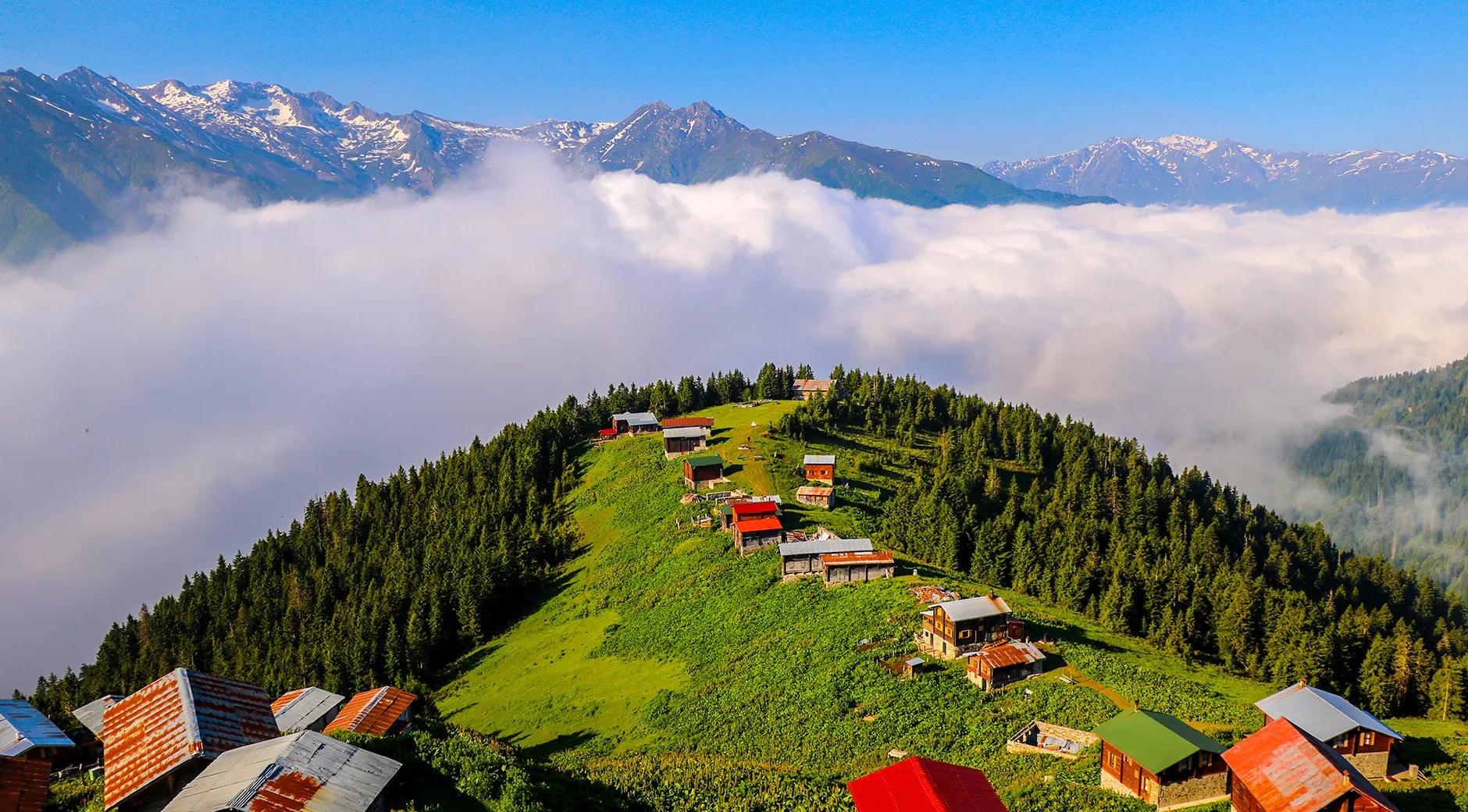 Pokut Higlands's image