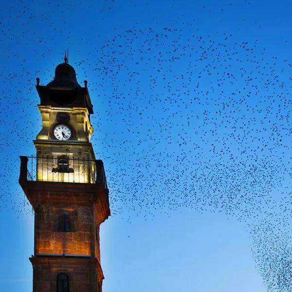 Yozgat Clock Tower