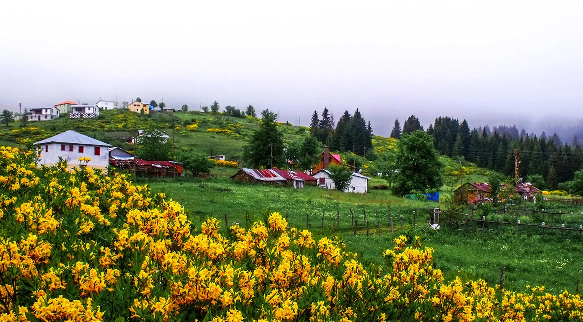 Çambaşı Highland's image