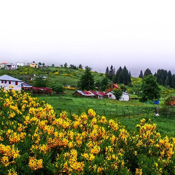 Çambaşı Highland