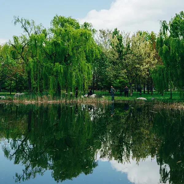 Soğanlı Botanical Park