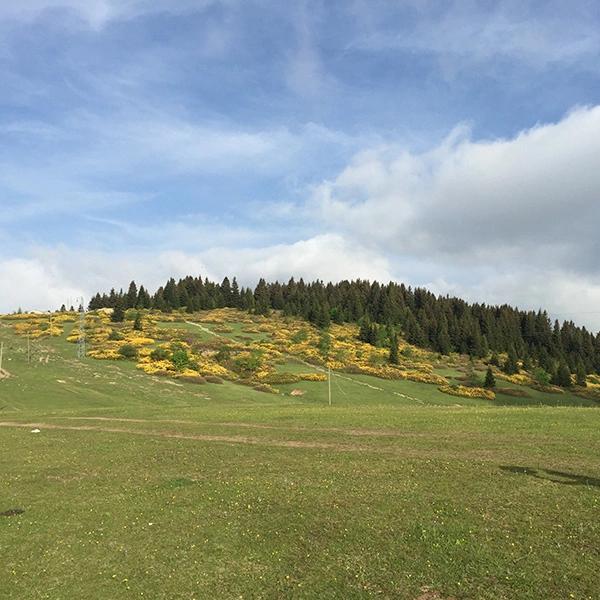 Ağaçbaşı Nature Park