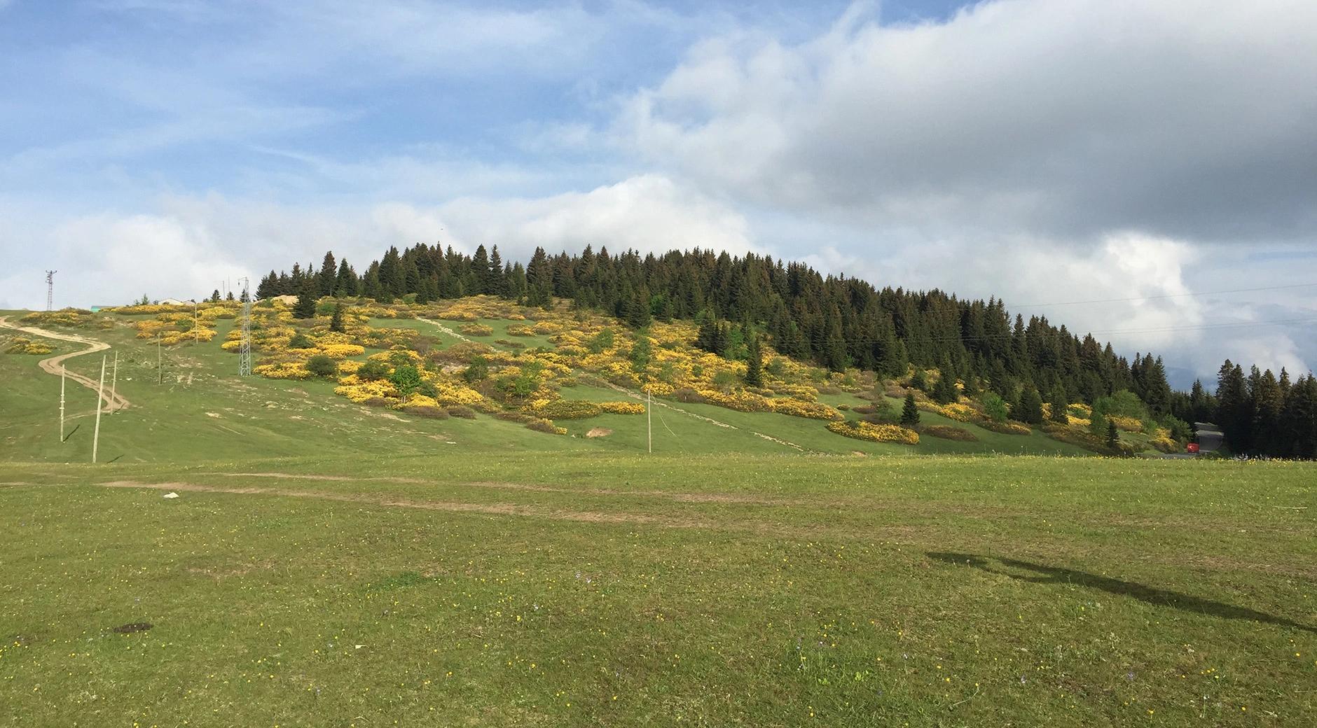 Ağaçbaşı Nature Park's image