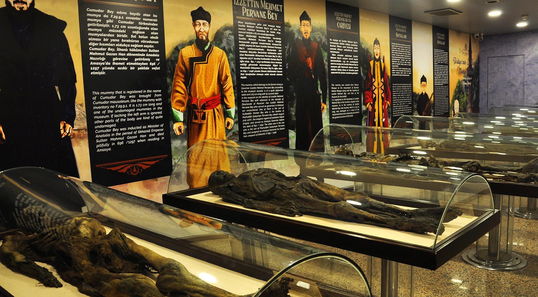 Amasya Museum's image