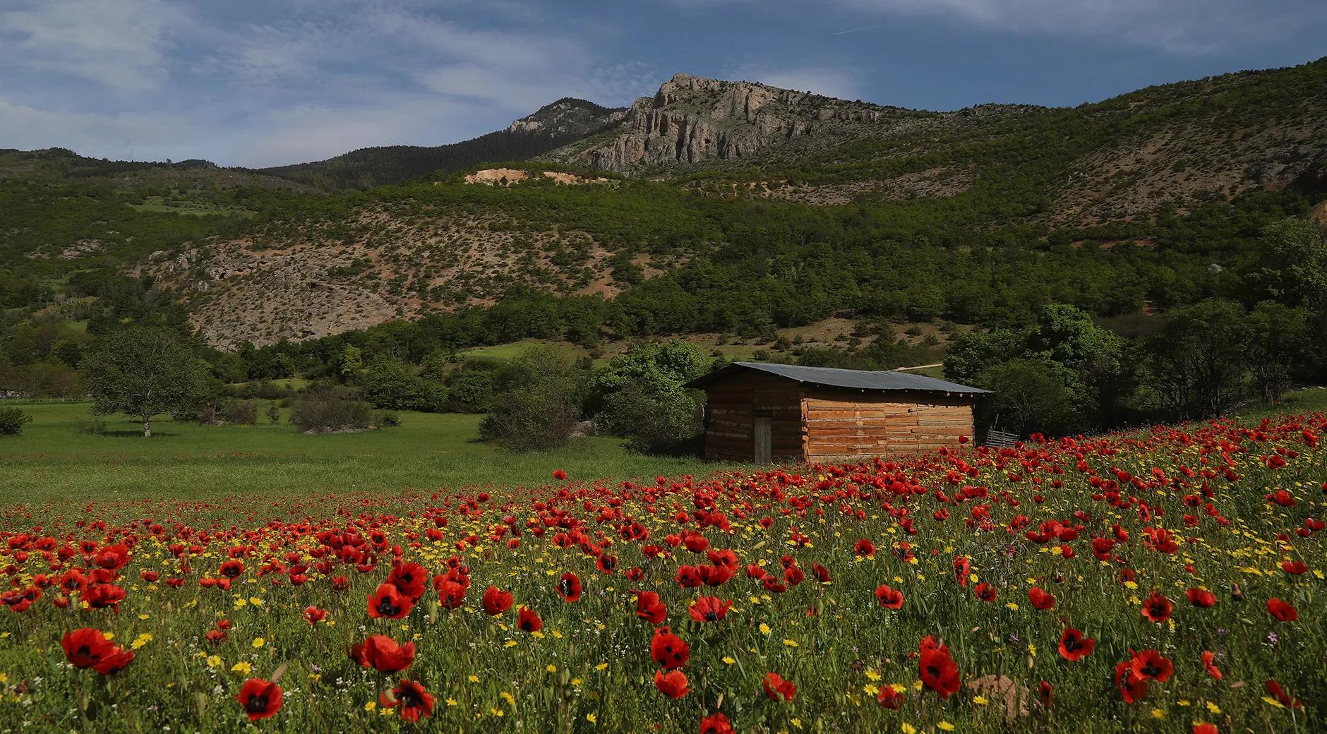 Historical Castles and Highland Landscapes of Ardanuç