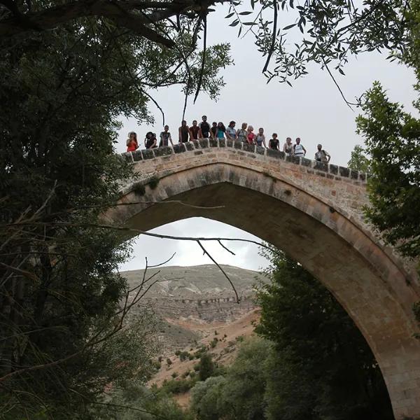 Tahar (Yusuf Ziya Pasha) Bridge