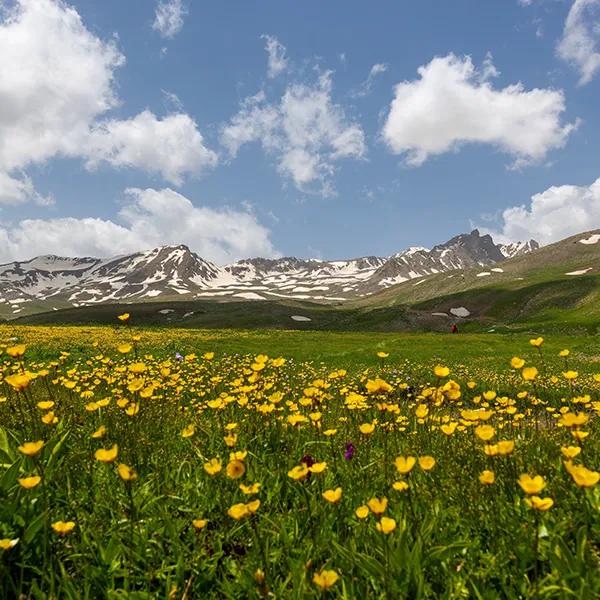 Berçelan Highland