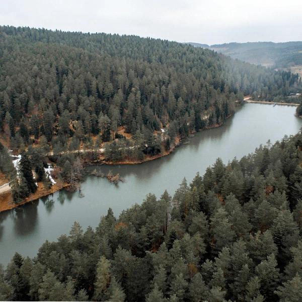 Bozcaarmut Pond