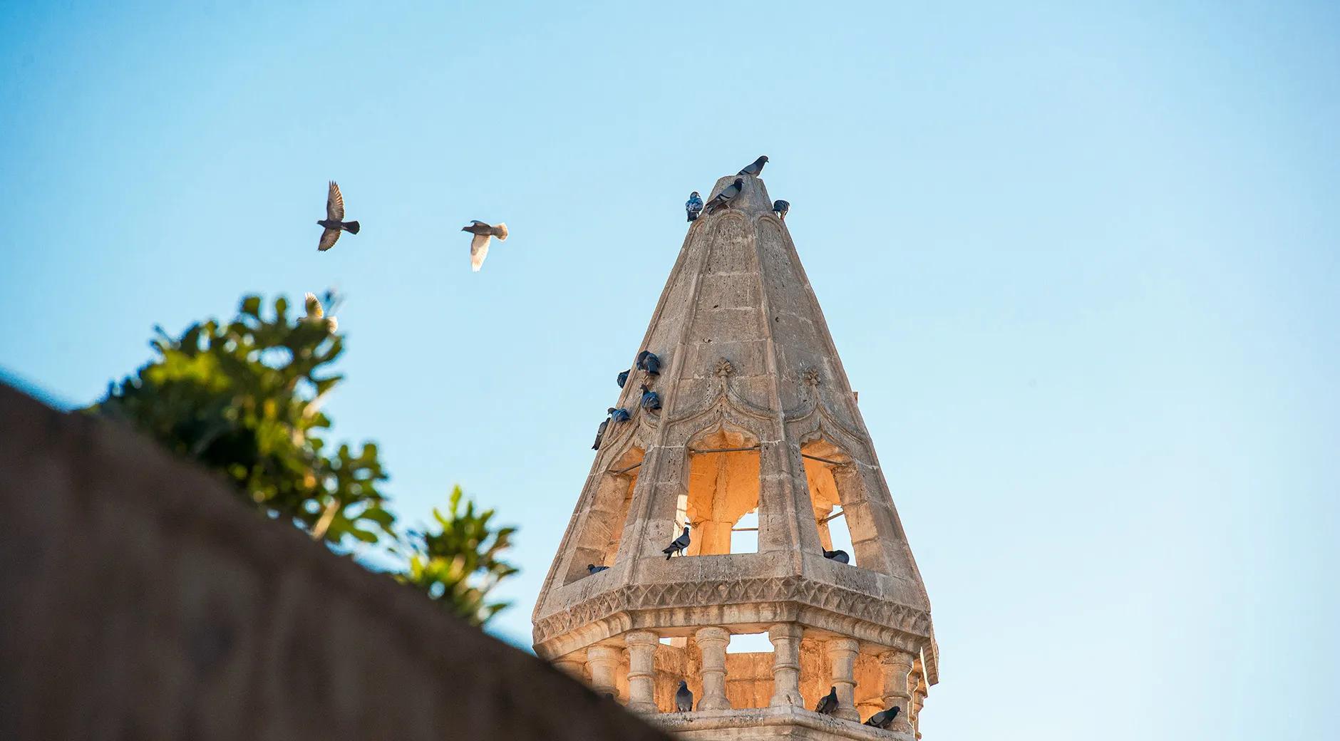 Fırfırlı Mosque (Church of Twelve Apostles)'s image