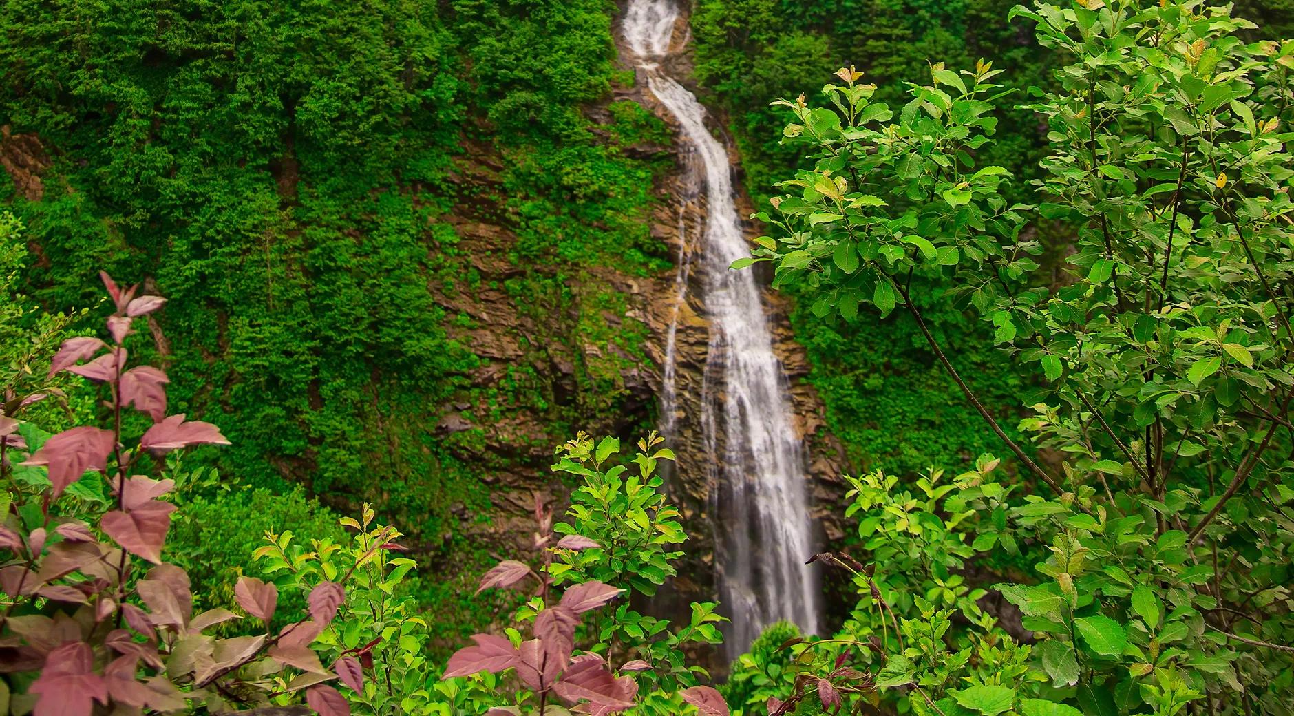 Gelintülü Waterfall's image