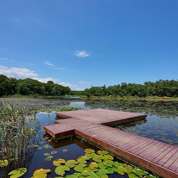 Hamam Lake