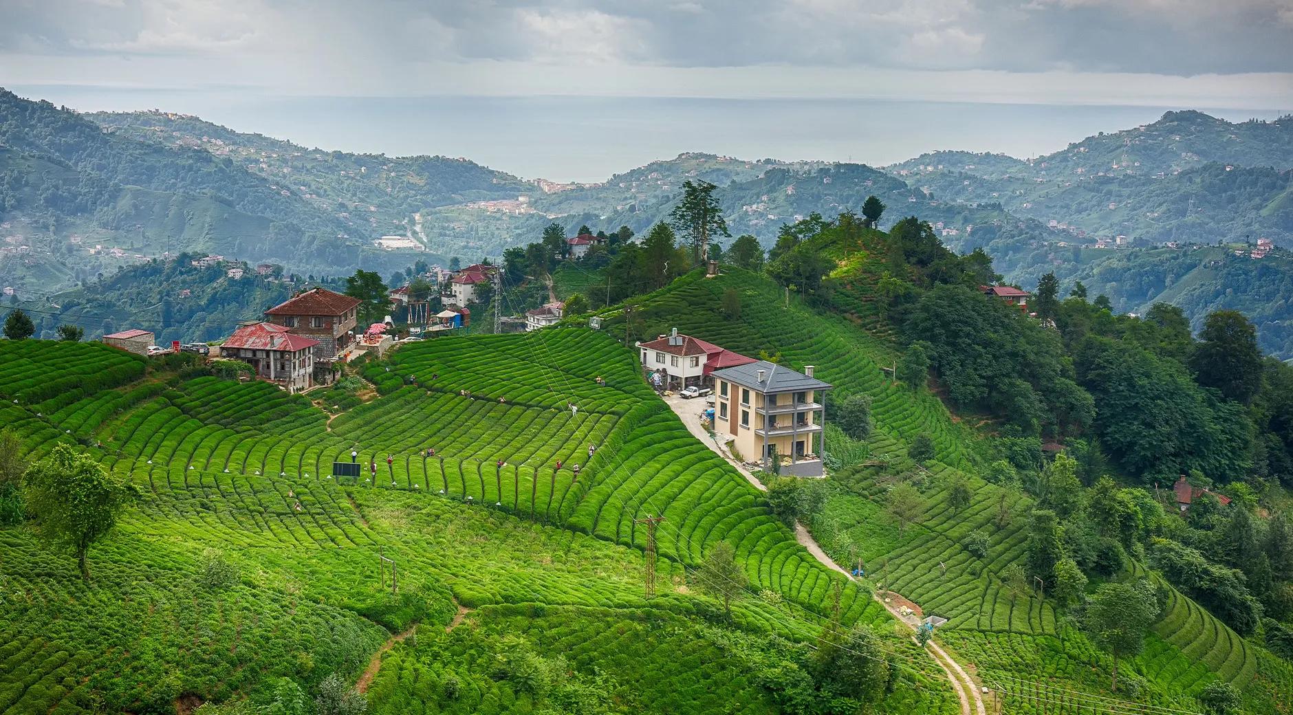 Haremtepe Çeçeva Village's image