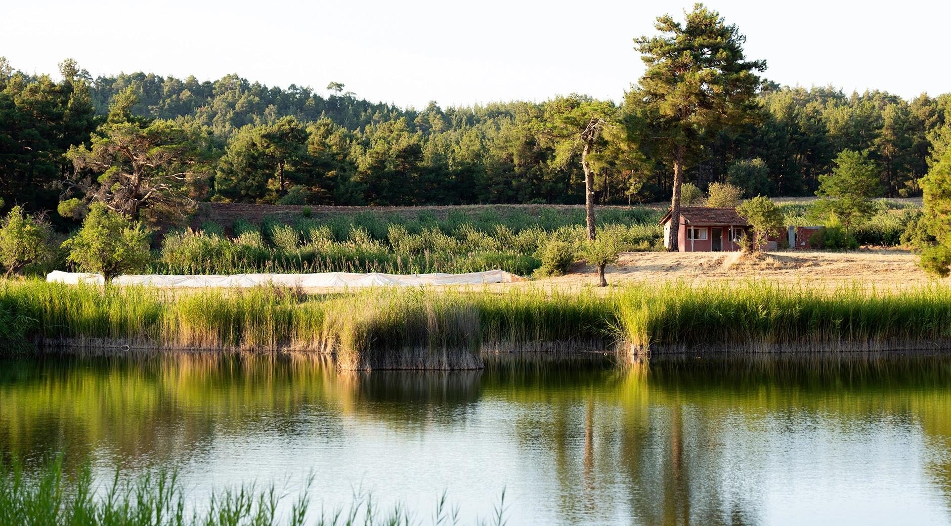 Honaz Saklı Lake's image