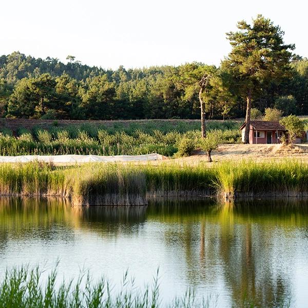 Honaz Saklı Lake