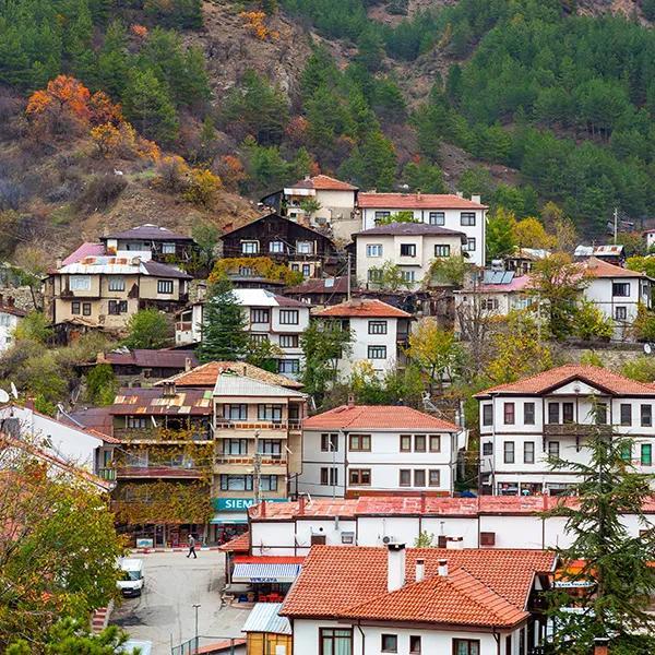 Mudurnu Houses