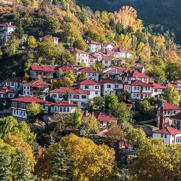 Göynük Houses