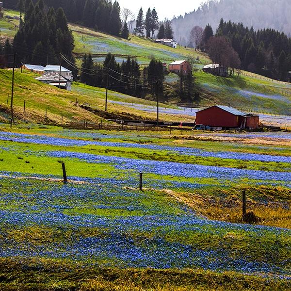 Kadıralak Highland