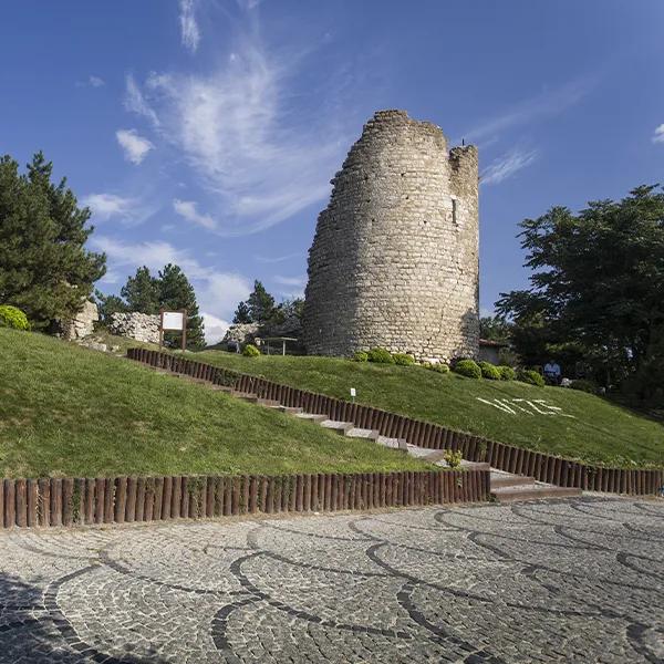 Vize Castle