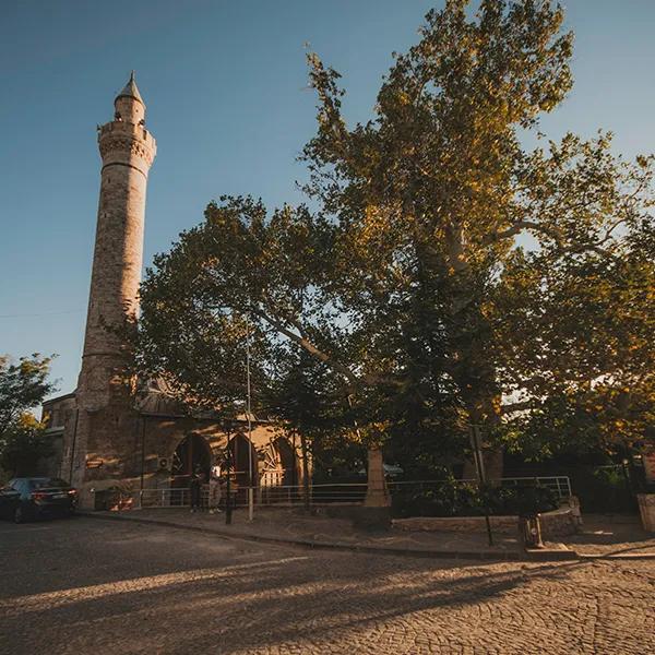 Monumental Tree in Kurşunlu Mosque