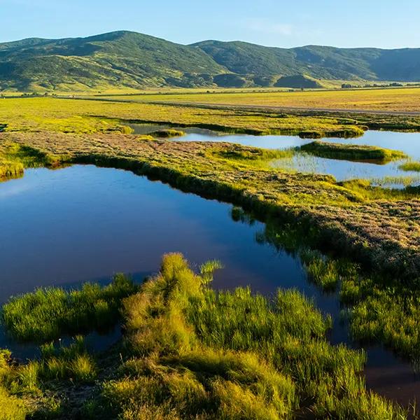 Muş Plains