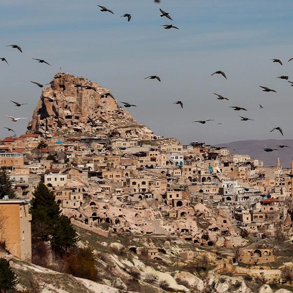 Pigeon Houses