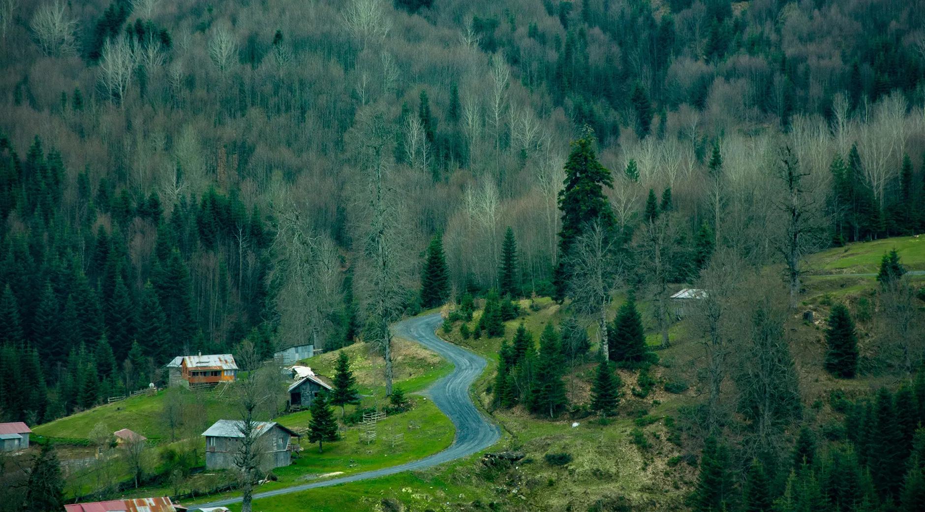 Düzce Plateaus and Waterfalls Escape Route