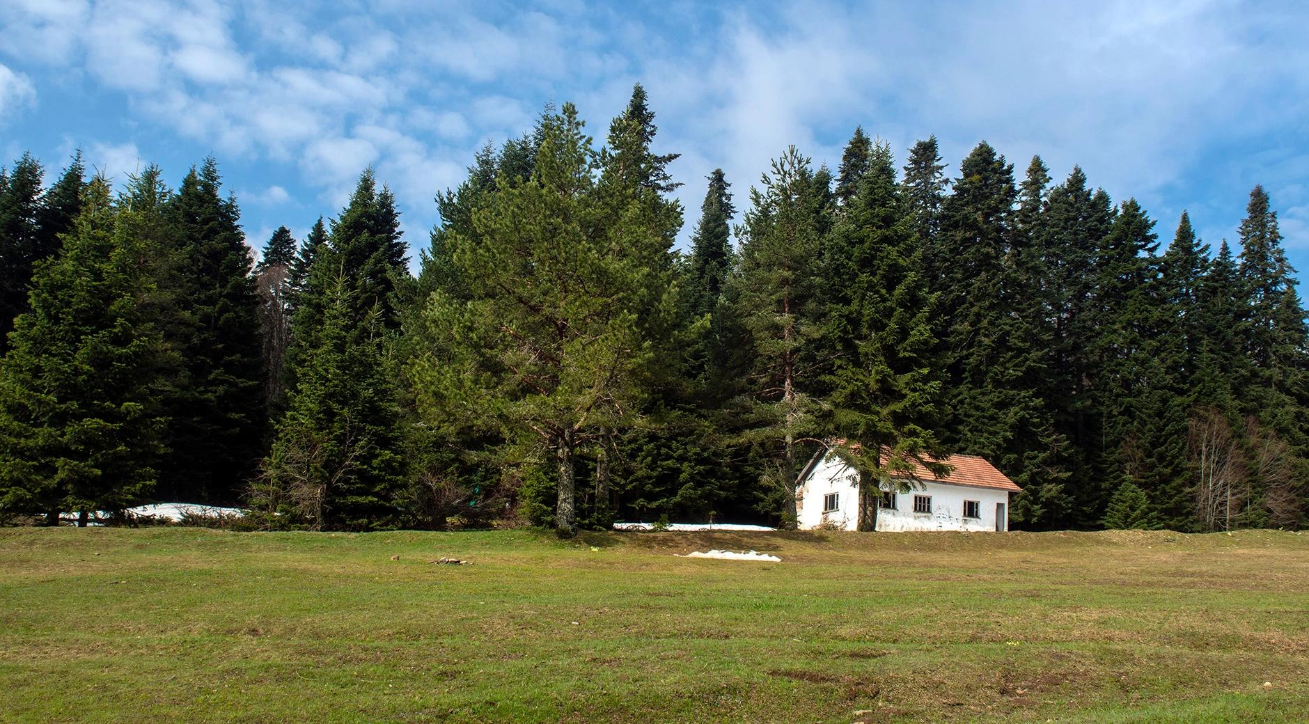 Pürenli Highland's image