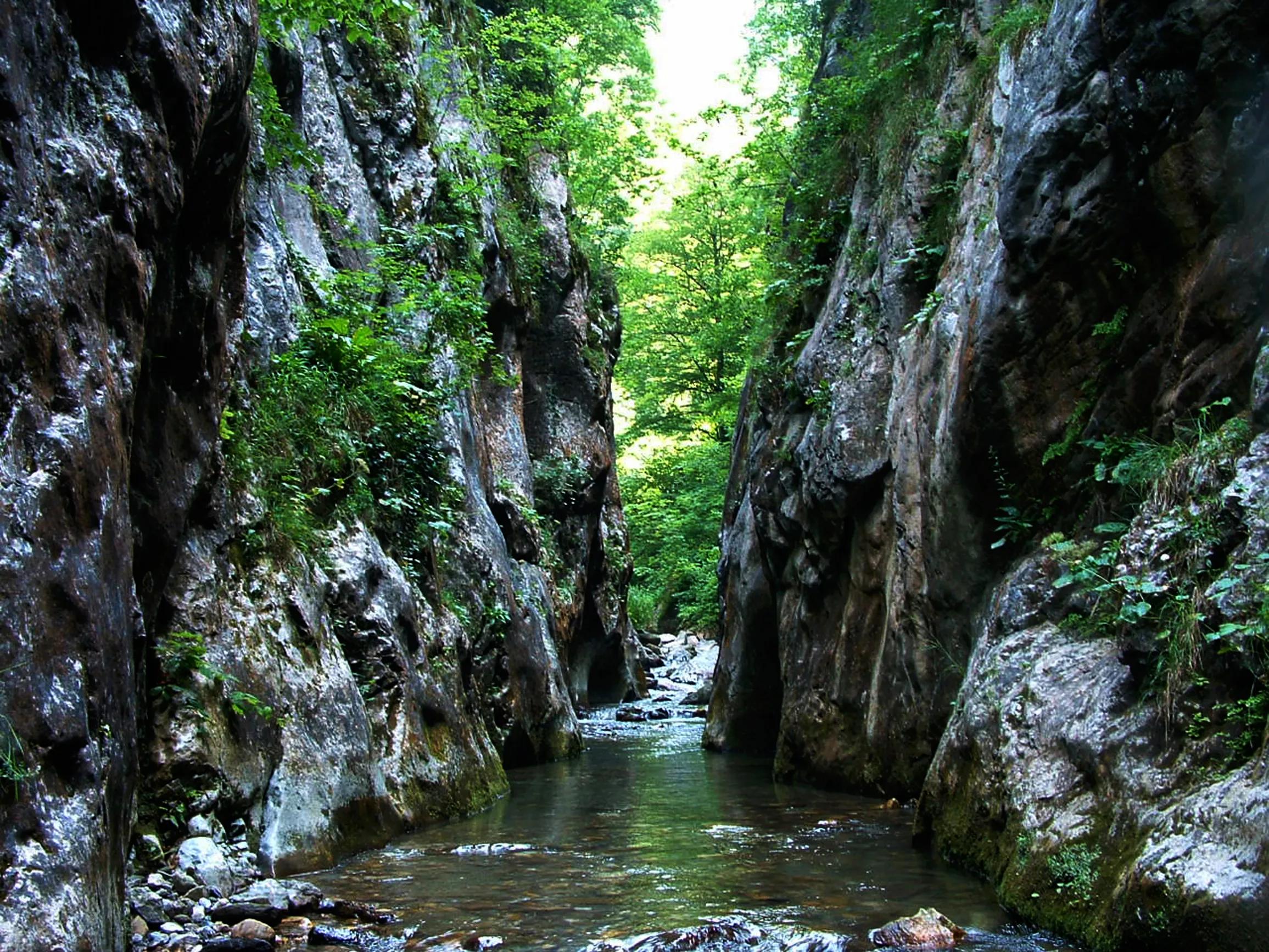 Serindere Canyon's image