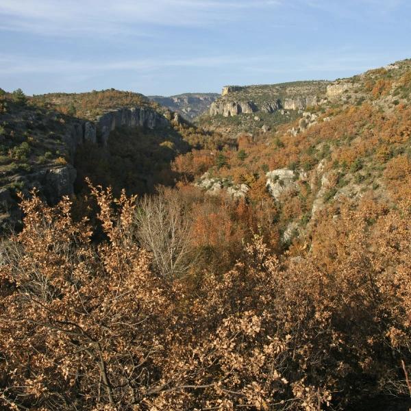 Sırçalı Canyon