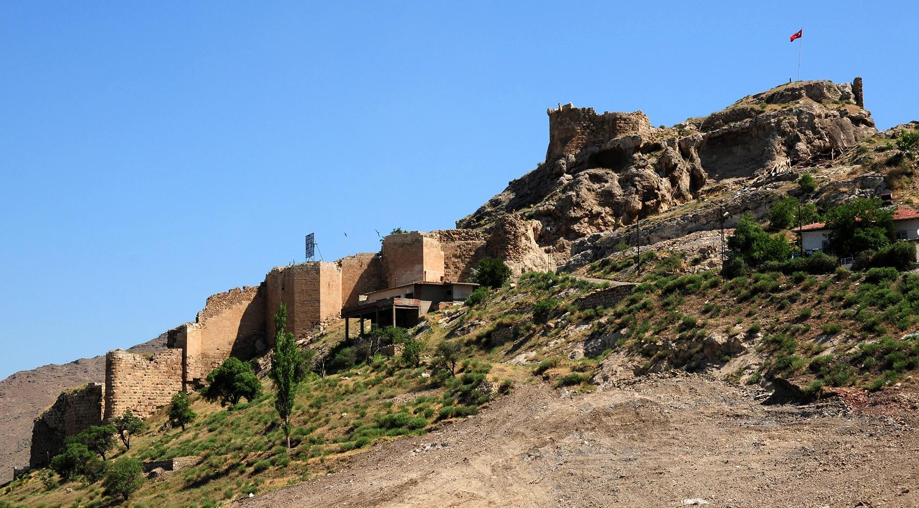 Divriği Castle's image