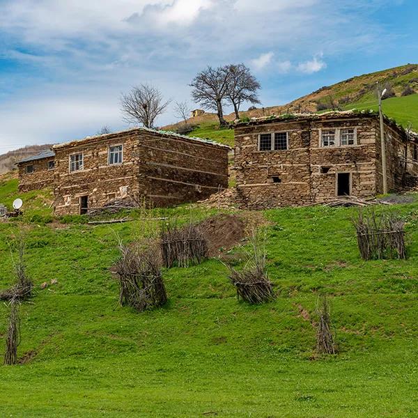 Traditional Muş Houses