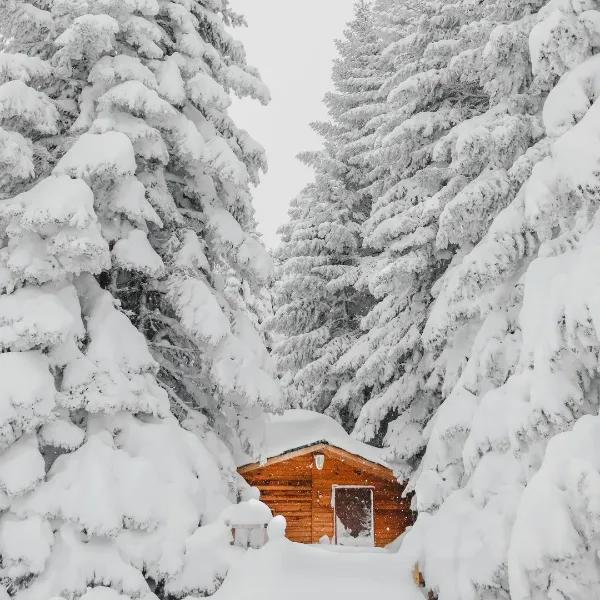 Mt. Uludağ