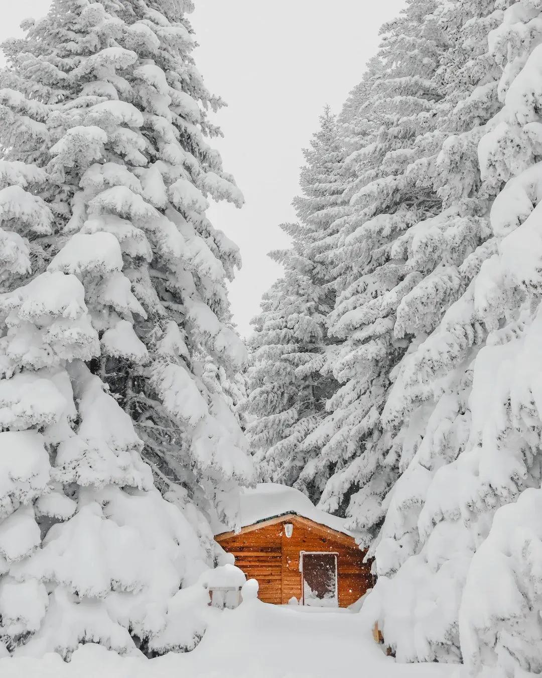 Discover Majestic Heights at Mt. Uludağ, Bursa's Prized Jewel! banner image