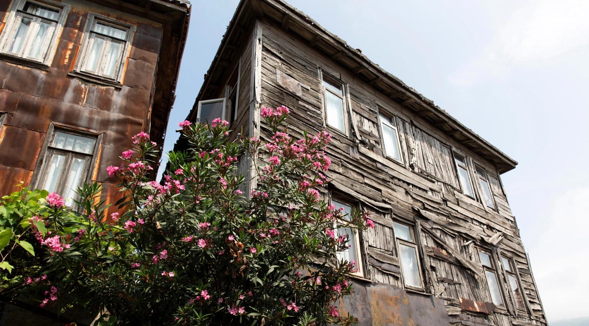 Bartın Wooden Houses's image