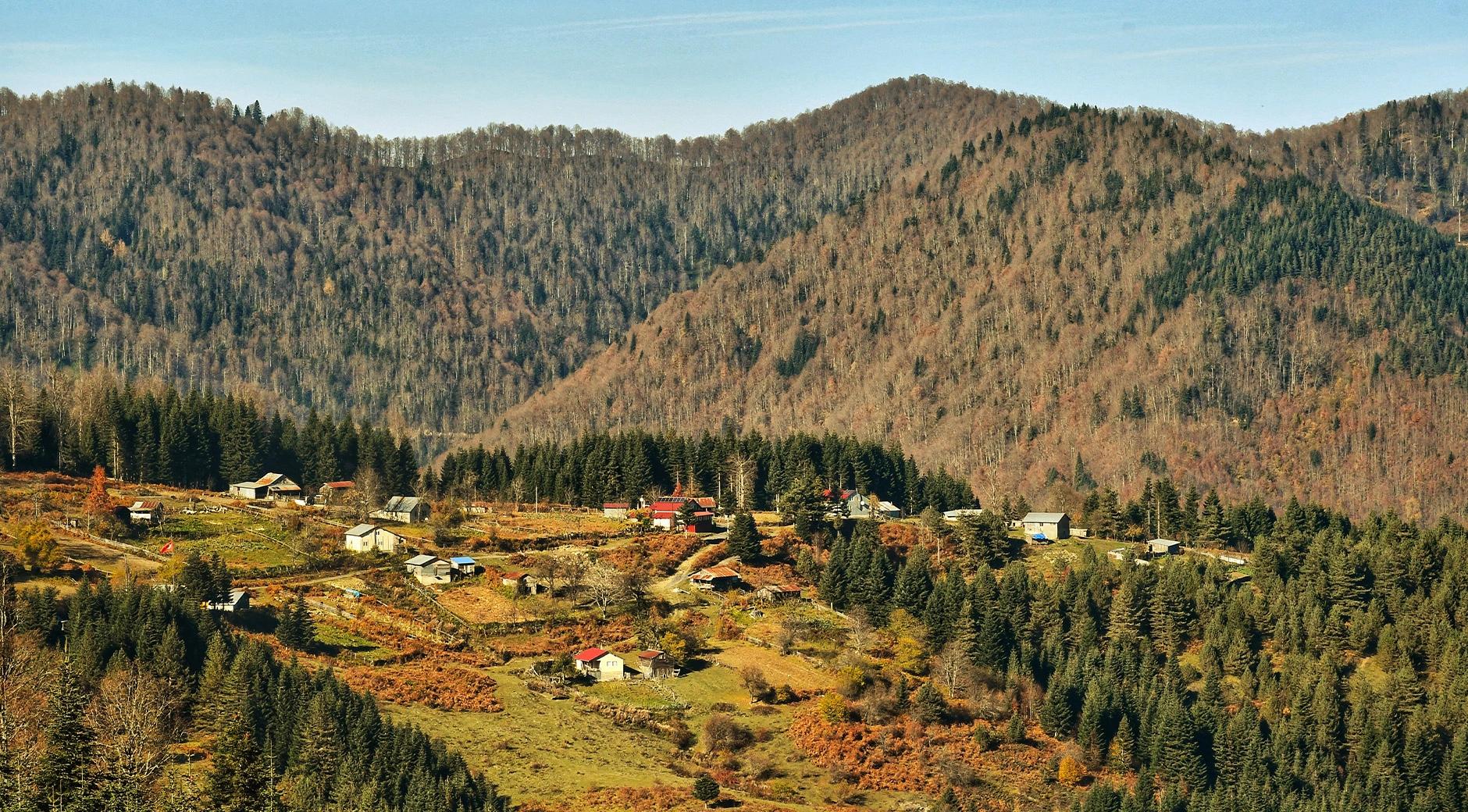 Yanık Highland's image