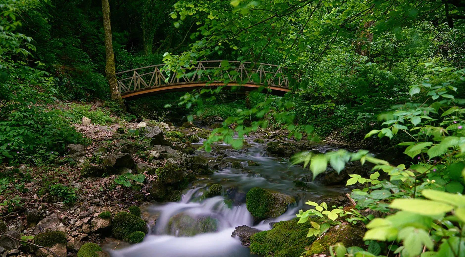 Aydınpınar Waterfall Nature Park's image