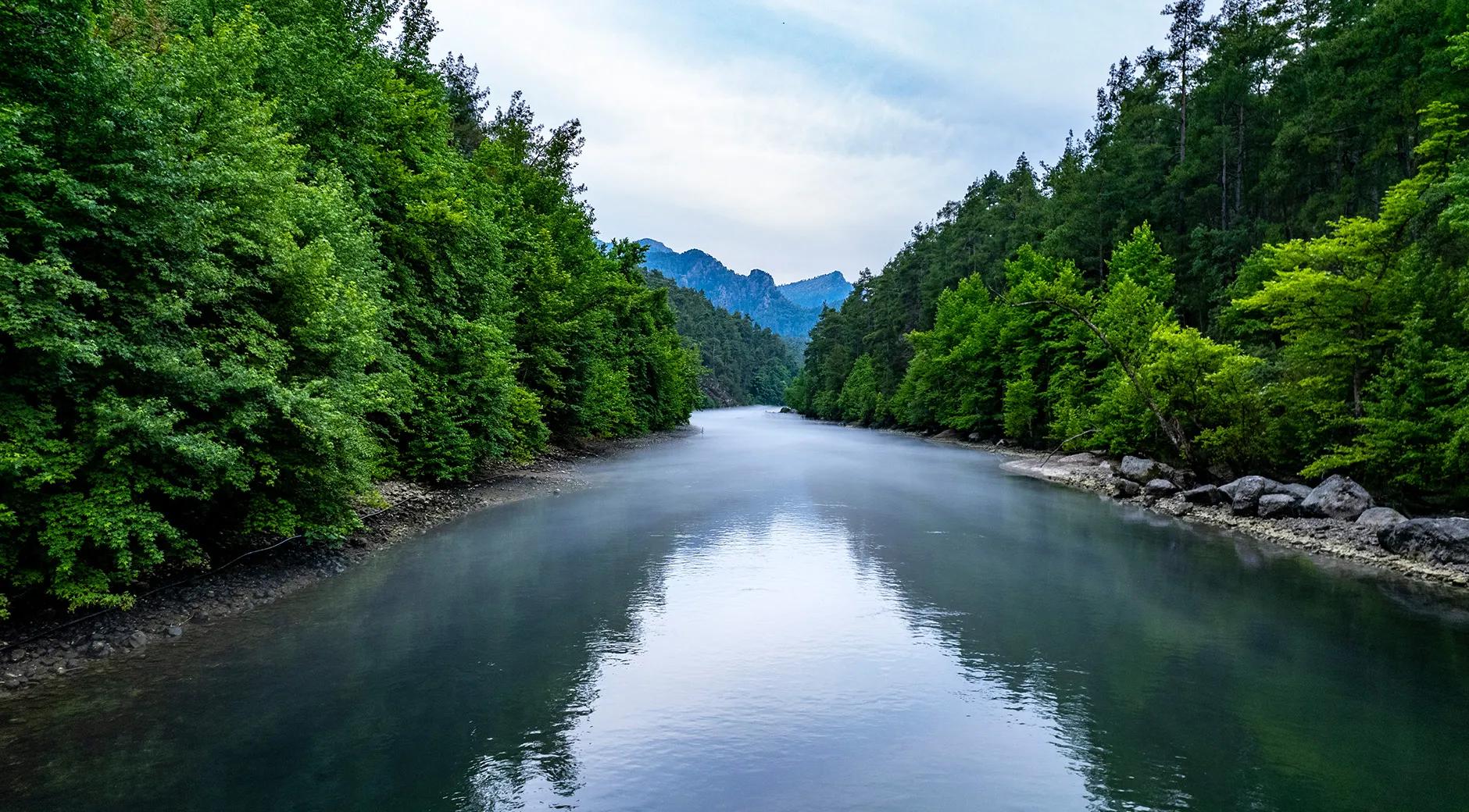 Burdur City Forest's image