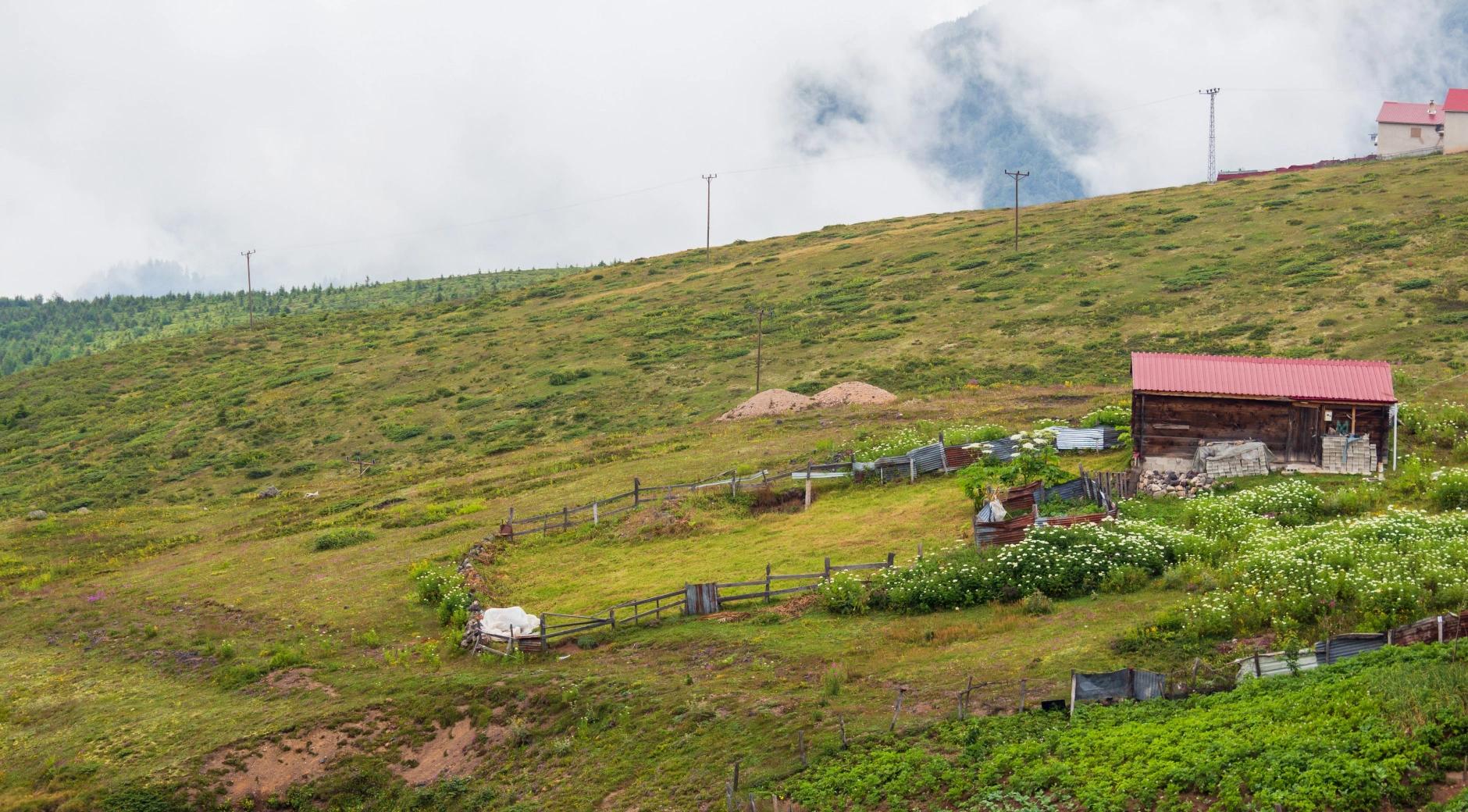 İkizdere Plateaus and Thermal Springs Route