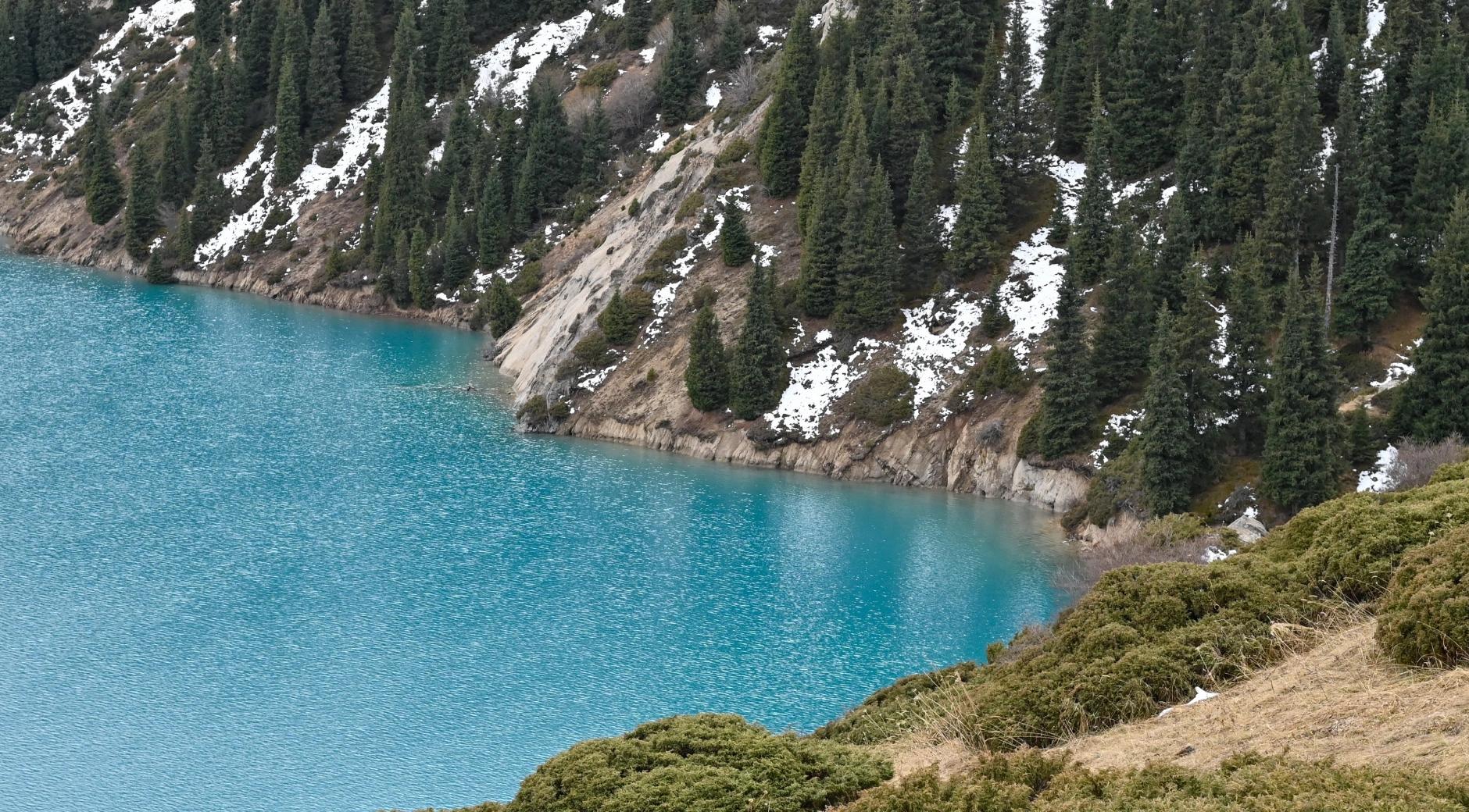 Çam Lake's image