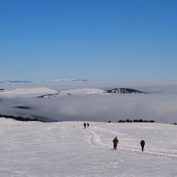 Çatak Nature Park