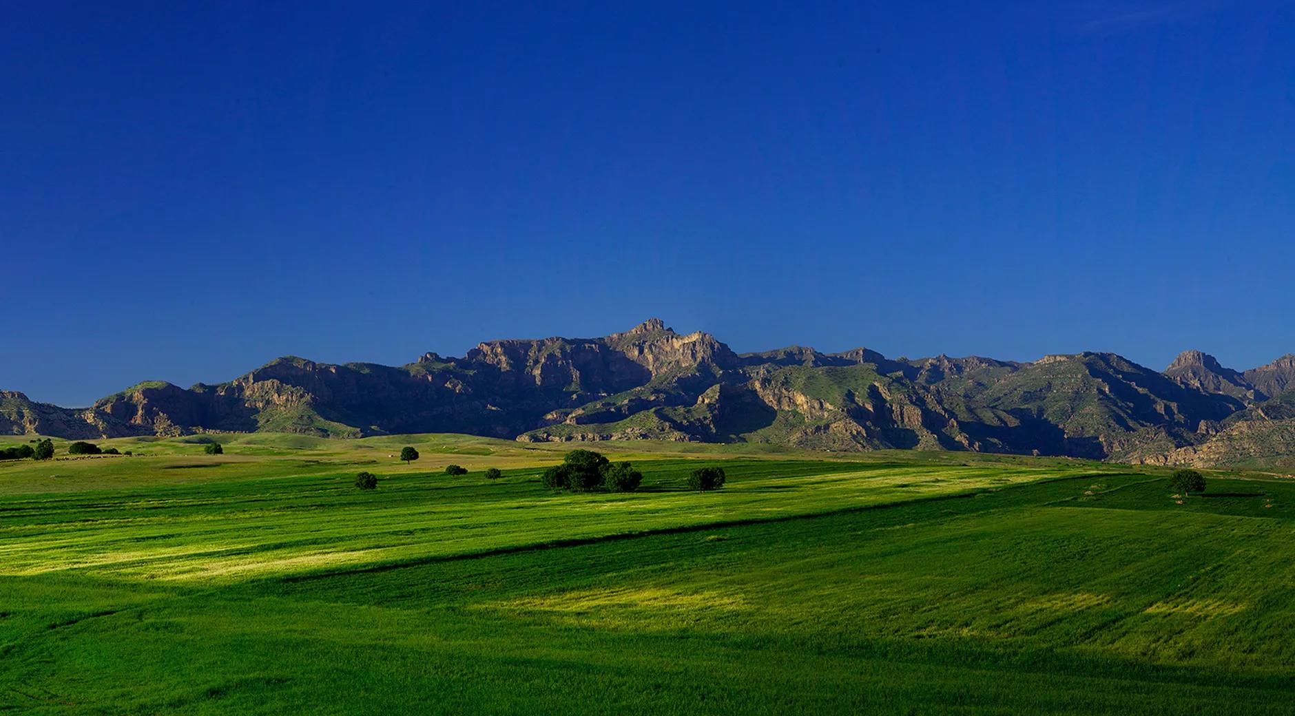 Ascend to History: Discover Şırnak's Pinnacle, Mount Cudi! banner image