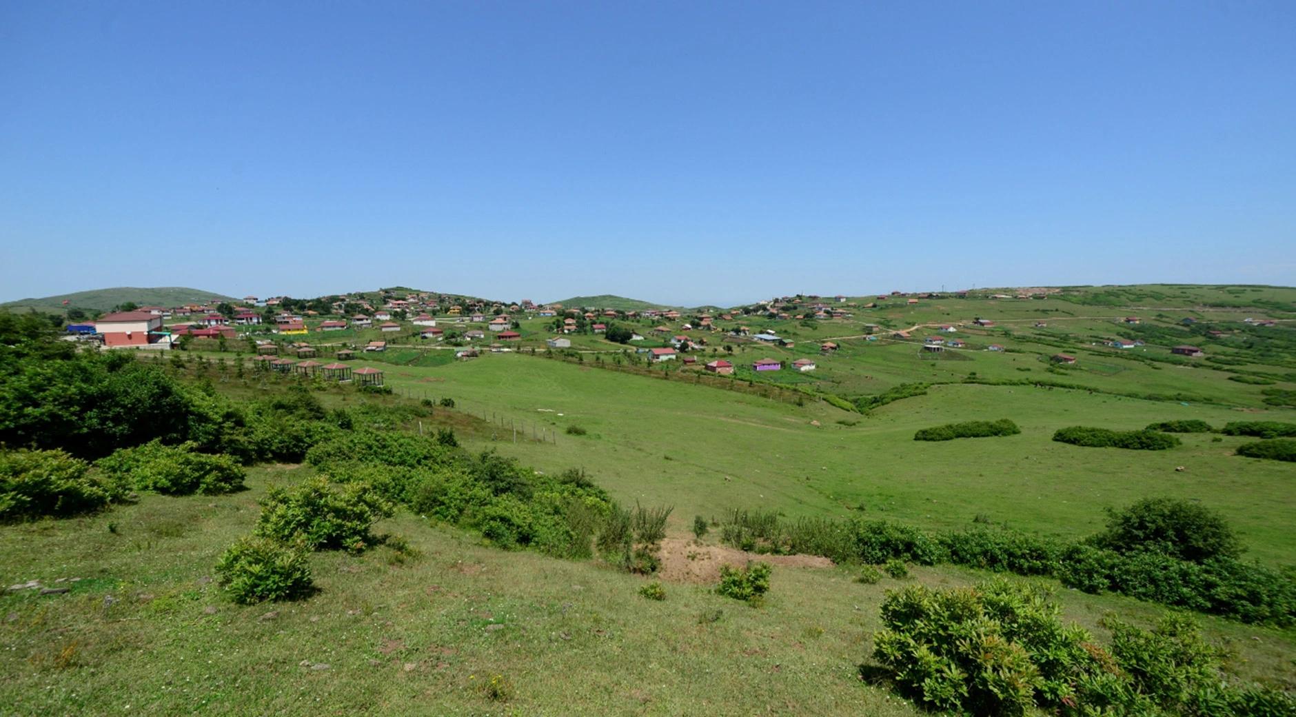 Düzoba Highland's image