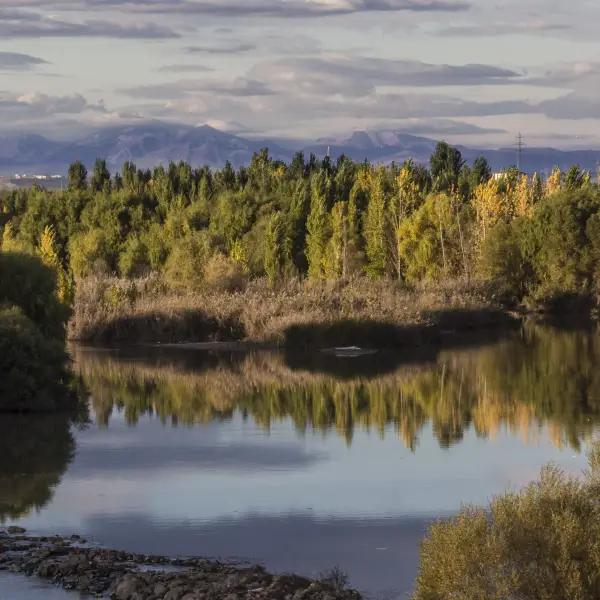 Dicle (Tigris) River