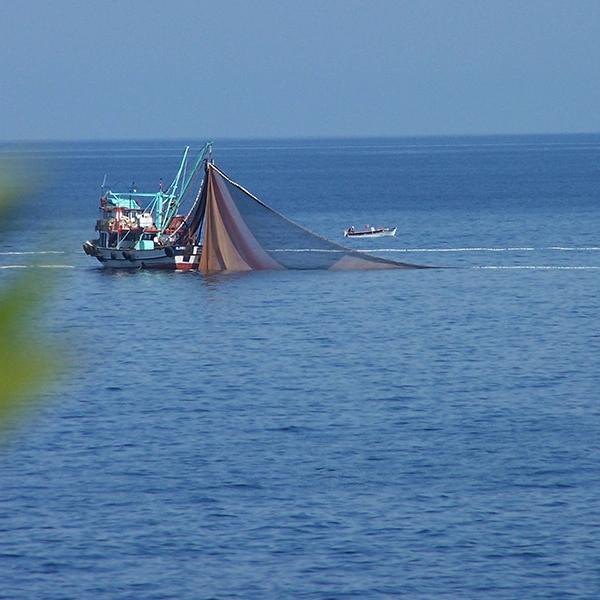 Fishing Shelters & Bays