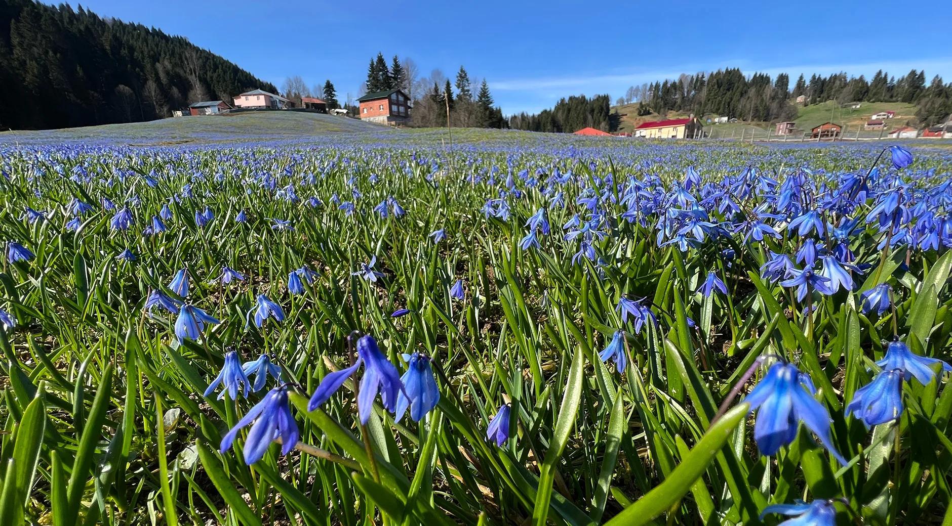 Kadıralak Highland's image