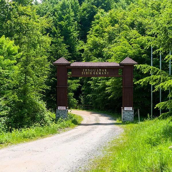 Zonguldak City Forest