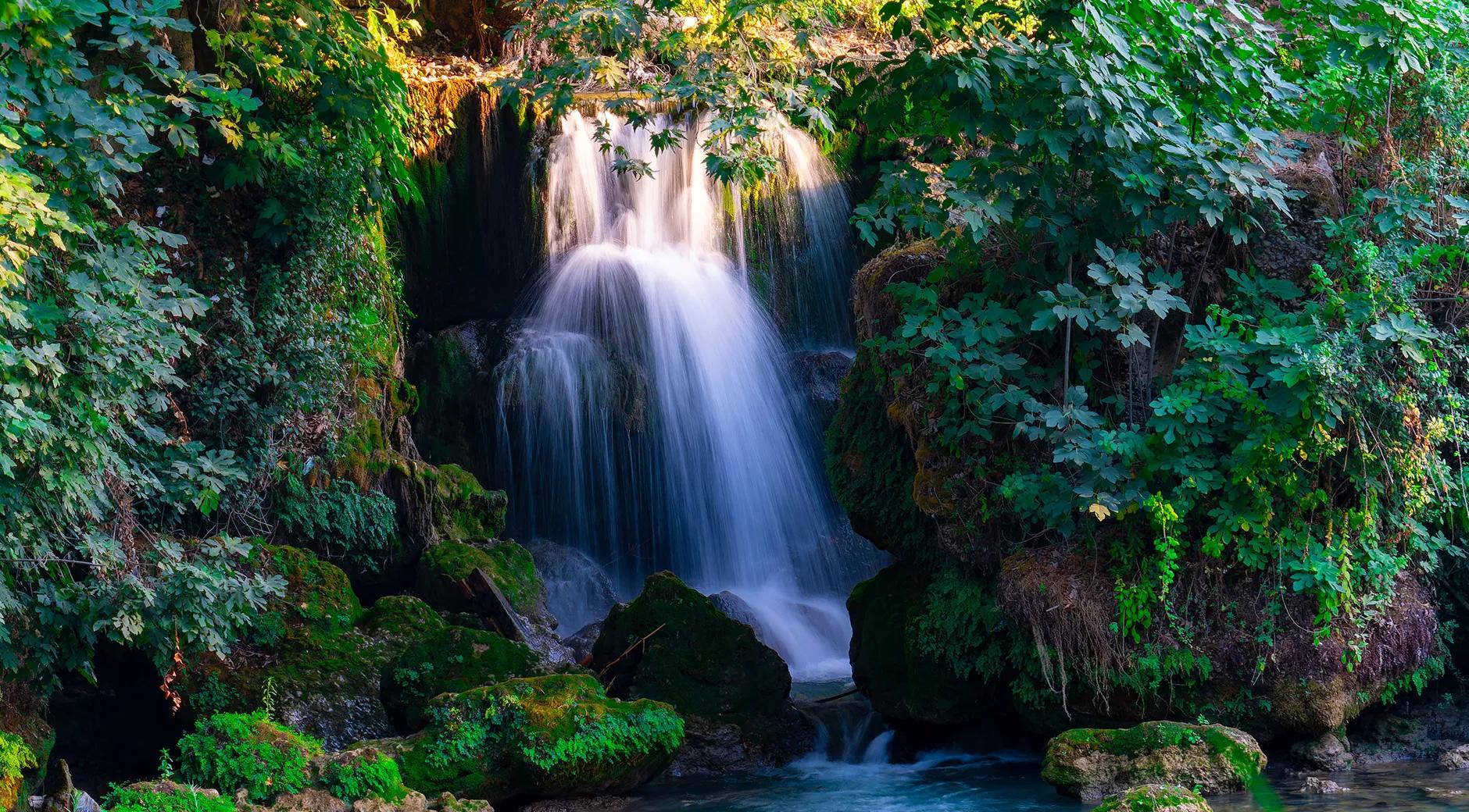 Tarsus Waterfall's image